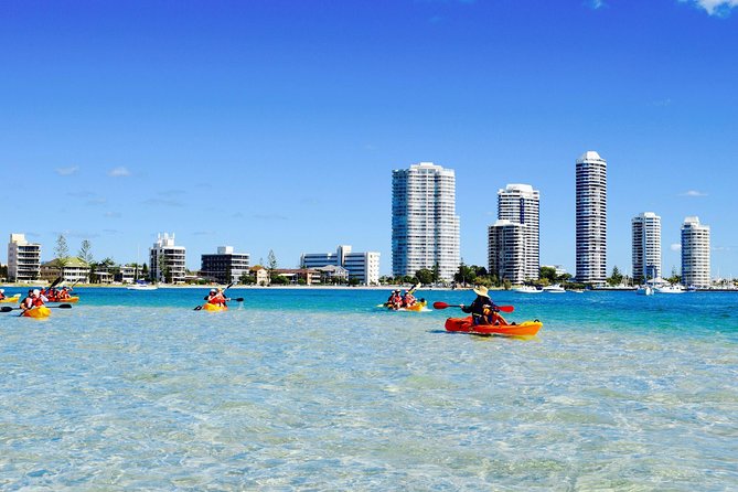 Gold Coast Kayaking & Snorkelling Tour (2.5 Hours) - Price and what you actually get for $63.91