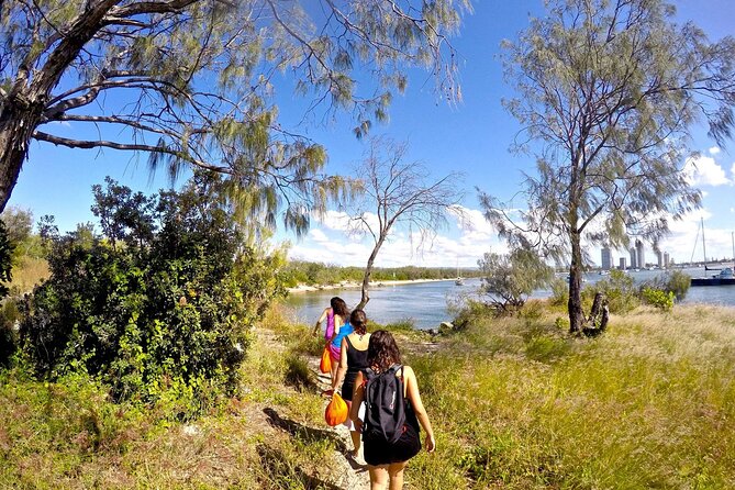 Gold Coast Kayaking & Snorkelling Tour (2.5 Hours) - Dolphins, rays, and stingrays: the wildlife odds game