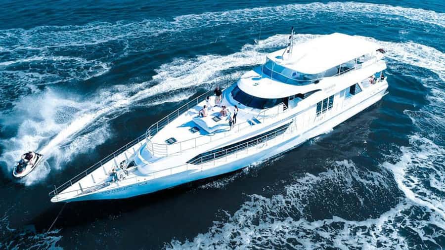 Gold Coast: Luxury Whale Watching Tour - Key highlights worth your attention
