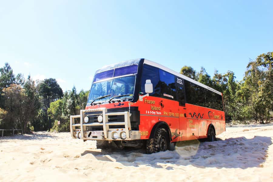 Gold Coast: Moreton Island Day Trip Kayak & Sandboarding - Moreton Island, sand, and shipwrecks in one 12-hour hit