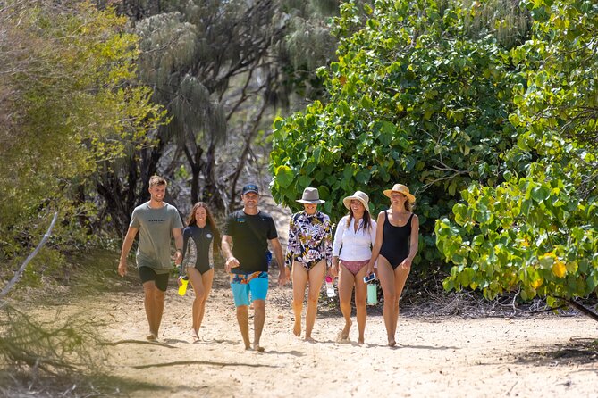 Gold Coast: Morning Kayak & Snorkel Adventure with Breakfast - South Stradbroke Island: surf-beach walking and golden wallabies