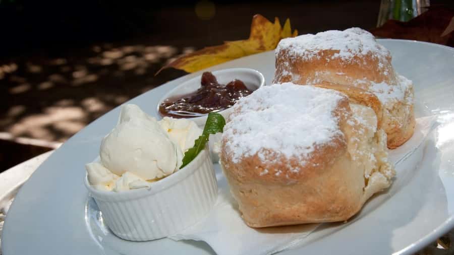 Gold Coast: Mount Tamborine Kangaroo and Koala Day Tour - Pickup, Transport, and Getting the Most From a Short Day