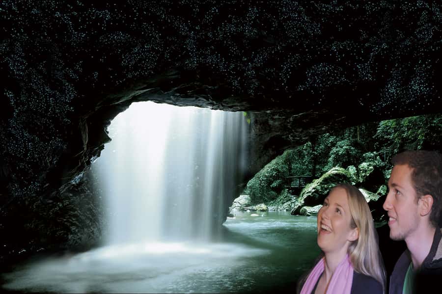 Gold Coast: Natural Bridge Glow Worm Night Tour - Pickup at Surfers Paradise: the easiest start