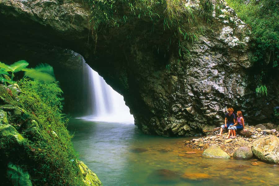 Gold Coast: Natural Bridge Glow Worm Night Tour - Springbrook National Park trek: flashlight walk skills
