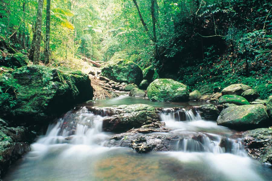 Gold Coast: Natural Bridge Glow Worm Night Tour - Stargazing after dark: head up, not phone down