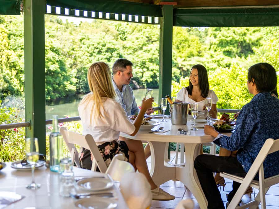 Gold Coast: Premium Wine Tour with Gourmet Lunch - What you’re actually paying for: $211 and how to judge value