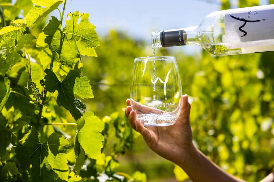 Gold Coast: Premium Wine Tour with Gourmet Lunch - The group size and guide energy: why it can feel personal