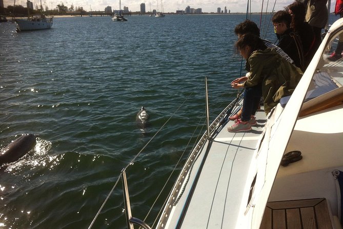 Gold Coast Sailing Cruise with sparkling wine & nibbles platter - Getting on board: Muriel Henchman Drive and the easy marina start