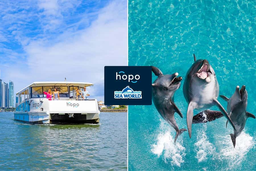 Gold Coast: Sea World Cruise & Entry Combo Ticket - Sea World day: marine encounters plus real time show pacing