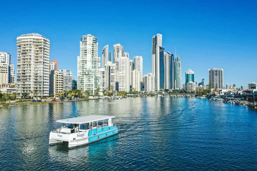 Gold Coast: Sea World Cruise & Entry Combo Ticket - What you’re really paying for: value at about $84 per person