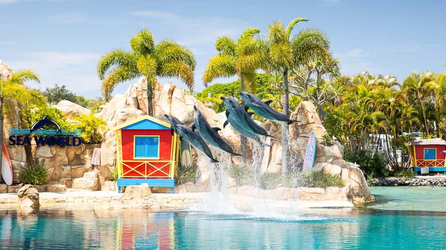 Gold Coast: Sightseeing Hop-on Hop-off Cruise - Broadwater scenery, captain commentary, and trying for dolphin sightings