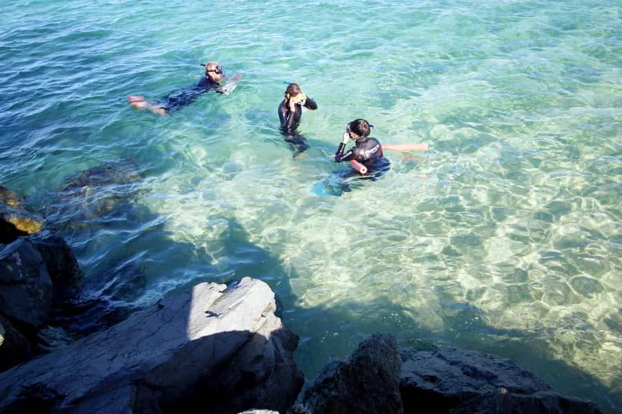 Gold Coast: Snorkelling in Wave Break Island - Getting kitted up and supported: guides, equipment, and comfort