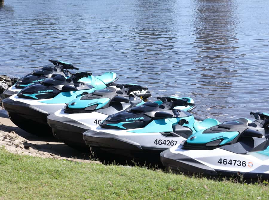 Gold Coast: Stradbroke Island Jetski Tour - Dolphins and Dugongs Etiquette: The Guide’s Role Makes the Difference