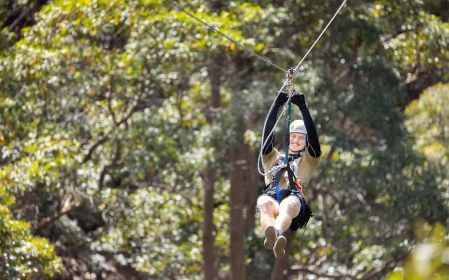 Gold Coast: Tamborine Mountain Canyon Flyer Zipline Tour - Key points I’d anchor on before you book