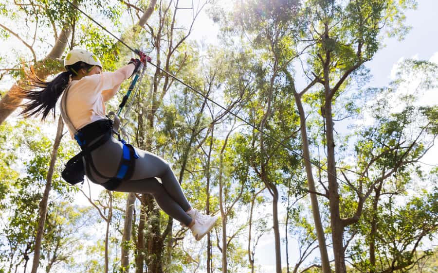 Gold Coast: Tamborine Mountain Canyon Flyer Zipline Tour - Bridges and heights: the one place nerves can slip through