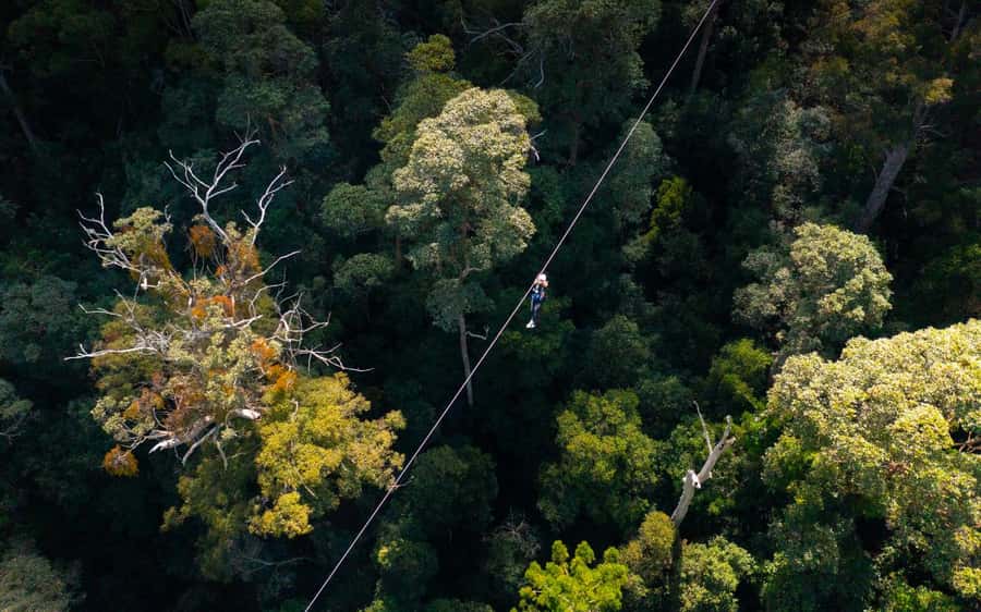 Gold Coast: Tamborine Mountain Canyon Flyer Zipline Tour - Guides and safety: the staff names you’ll hear during prep