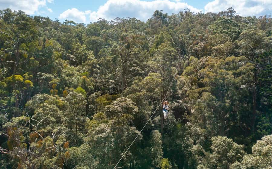 Gold Coast: Tamborine Mountain Canyon Flyer Zipline Tour - What to bring and wear: the little stuff that prevents big hassle