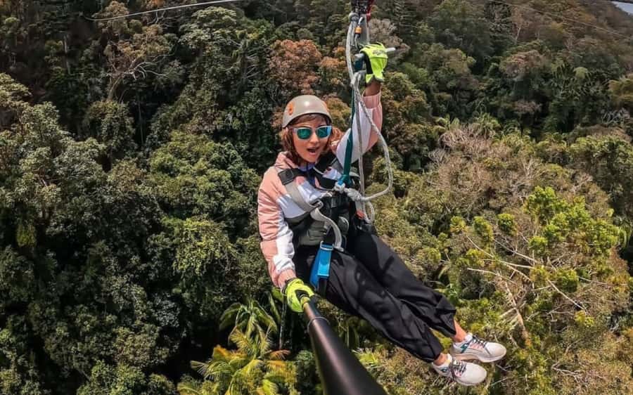 Gold Coast: Tamborine Mountain Canyon Flyer Zipline Tour - Getting to Thunderbird Park from the Gold Coast and Brisbane