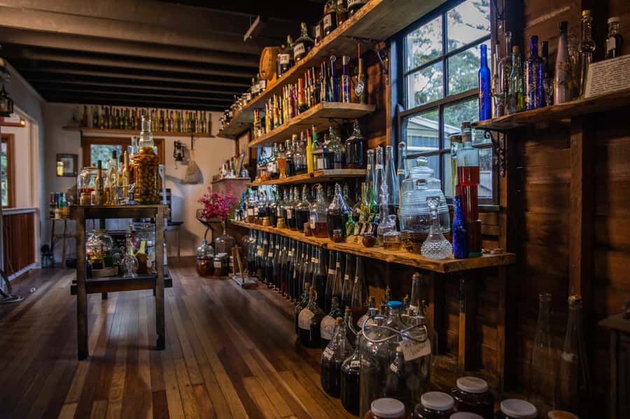 Gold Coast: Tamborine Mountain Local Winery Tour with Lunch - The small-group factor: why the guide’s personality matters