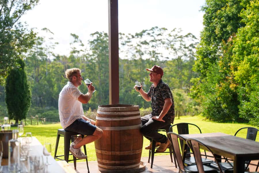 Gold Coast: Tamborine Mountain Wine Tour - Pickup and the Vino Bus ride: comfort, timing, and views