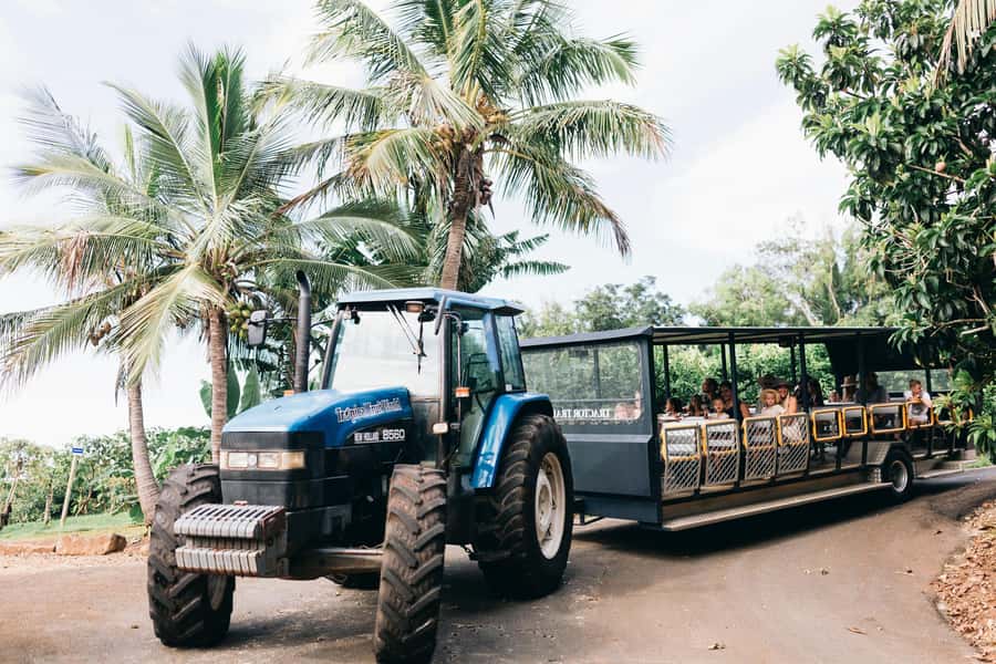 Gold Coast: Tropical Fruit World Full Farm Tour - Fresh fruit tasting: what to expect and how to make it worthwhile