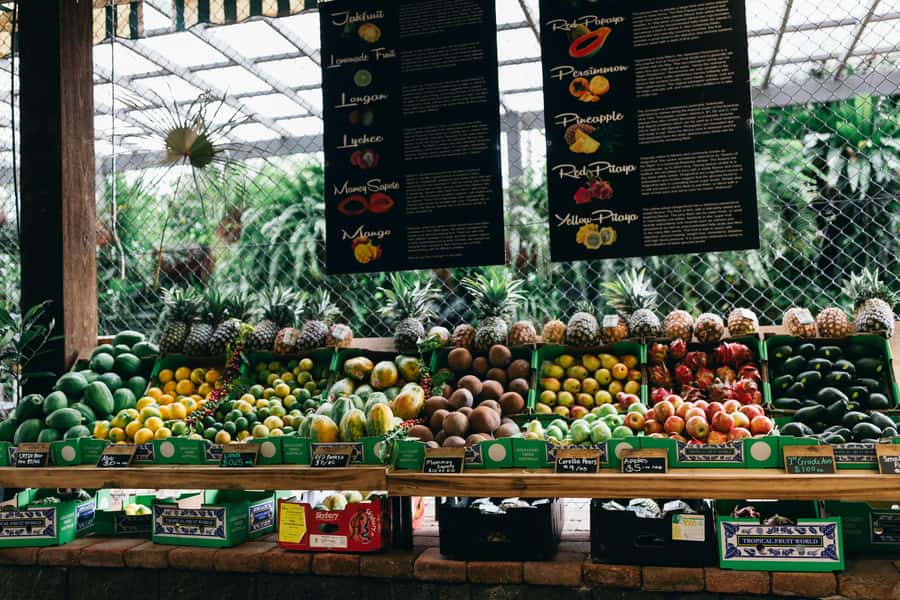 Gold Coast: Tropical Fruit World Full Farm Tour - Guides and languages: how commentary works on the day