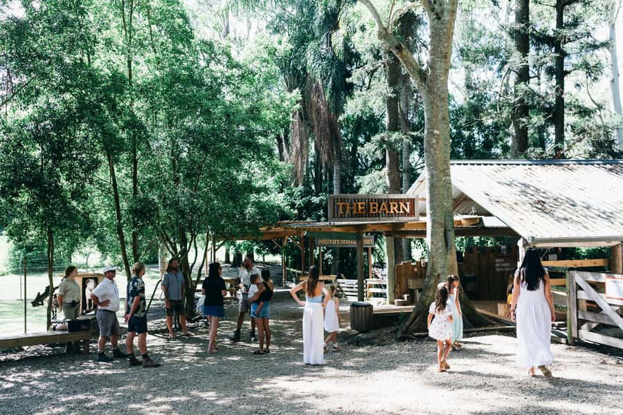 Gold Coast: Tropical Fruit World Full Farm Tour - Price and value for a 150-minute Gold Coast-area farm day