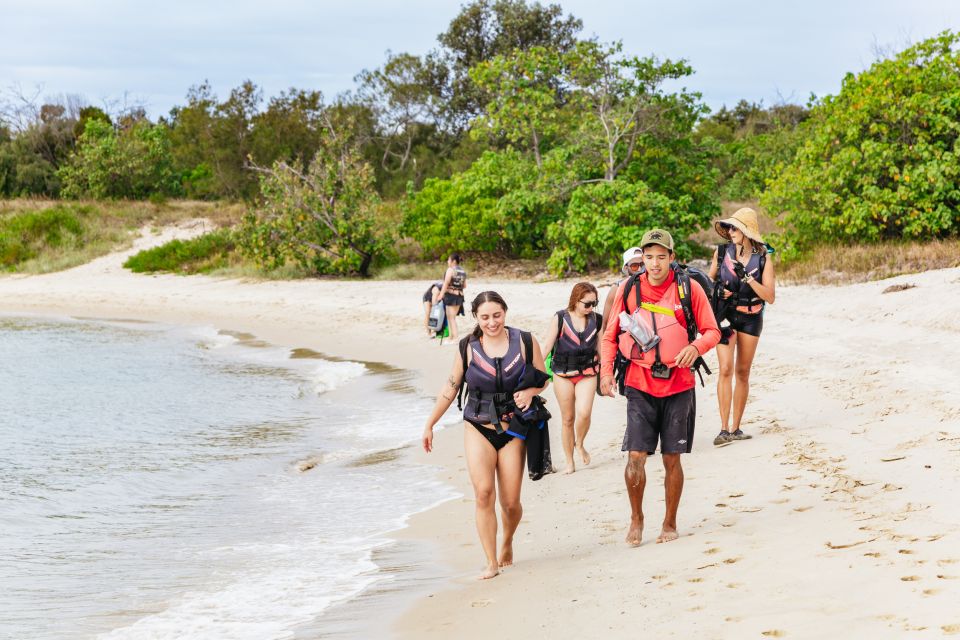 Gold Coast: Wave Break Island Kayaking & Snorkeling tour - How hard is it: fitness, wind, and the equipment reality