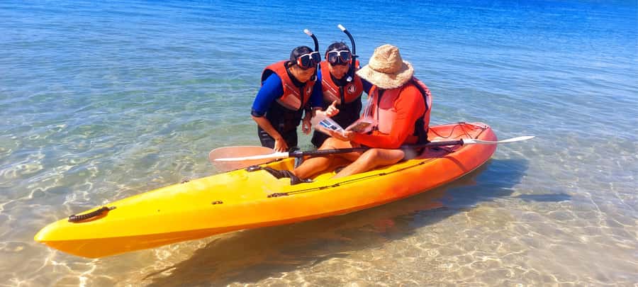 Gold Coast: Wave Break Island Kayaking & Snorkeling tour - Meeting at Biggera Waters: quick setup that sets the tone