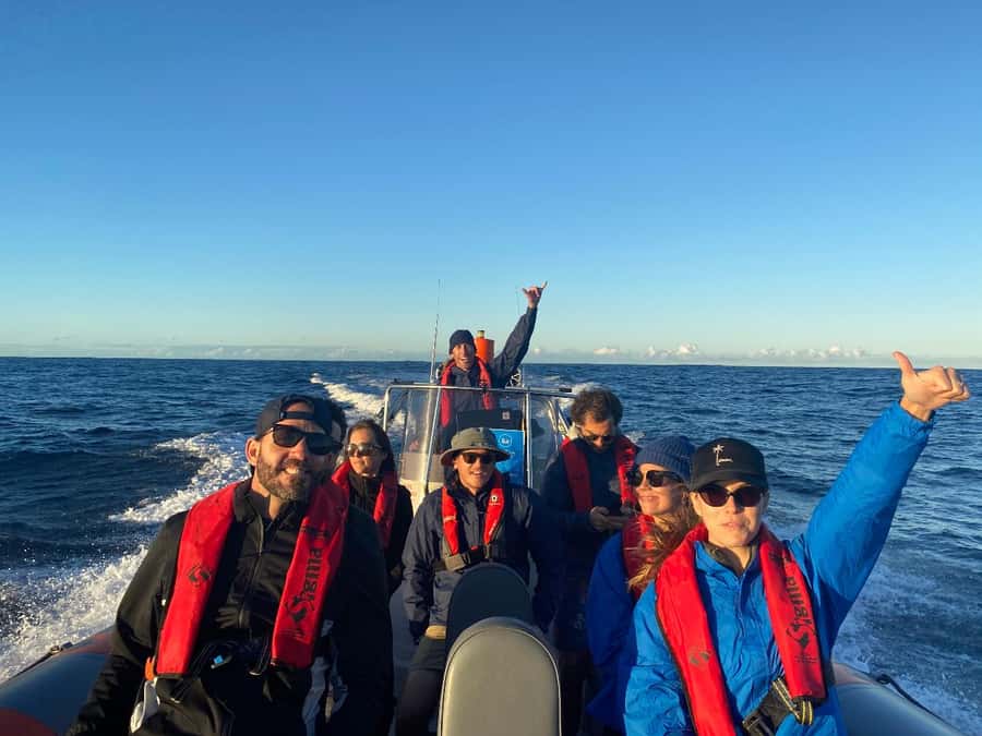 Gold Coast: Whale Watching - The 30-minute safety briefing (and why it’s worth your attention)
