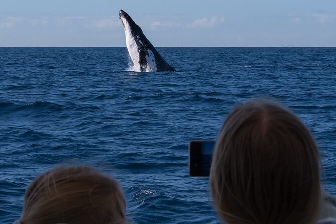 Gold Coast Whale Watching Cruise - The ride out: quick travel, fresher air, and how to use the waves