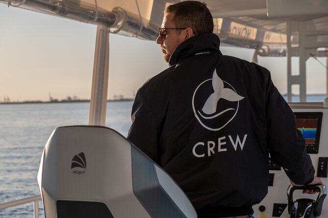 Gold Coast Whale Watching Cruise - When whales surface: why limited seats change everything