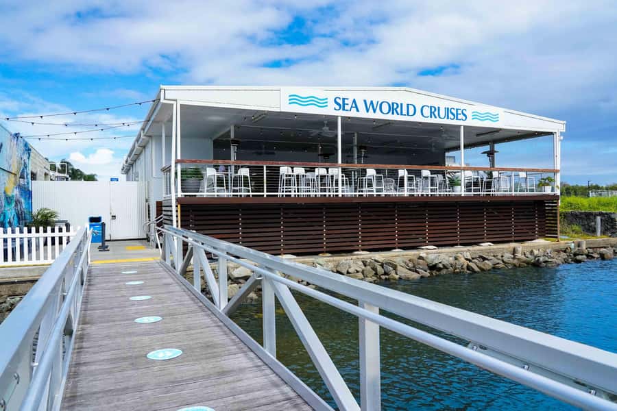 Gold Coast: Whale Watching Cruise & Sea World Entry - Where humpbacks fit into a bigger story
