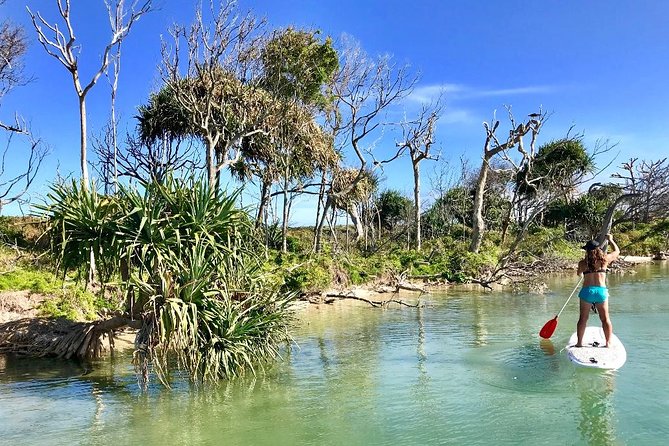 Golden Beach 1-Hour Stand-Up Paddleboard Hire on the Sunshine Coast - What happens when you arrive: the quick setup that makes or breaks SUP