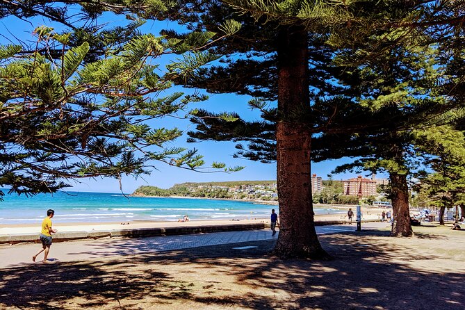 Golden Beaches and Ocean Vistas MANLY AND NORTHERN BEACHES PRIVATE TOUR - Key things that make this tour worth your time