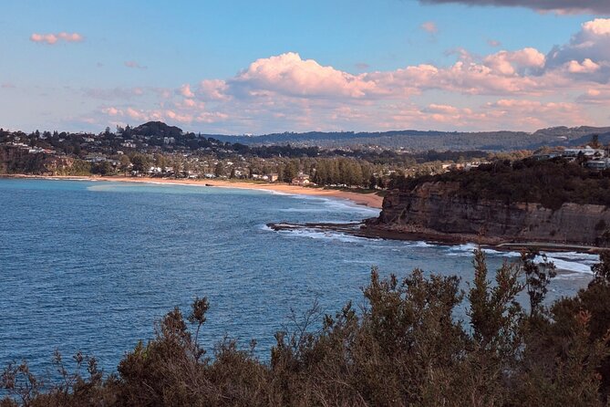 Golden Beaches and Ocean Vistas MANLY AND NORTHERN BEACHES PRIVATE TOUR - North Head cliff hike: the entrance-harbour view you can feel in your legs