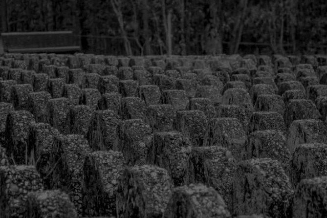Goodna Cemetery Haunted History Tour - Who This Tour Suits Best (and Who Might Not)