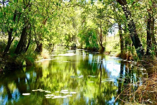 Gorgeous Gorges - Windjana & Bell Gorge, Mt Hart, Horizontal Fall - Cygnet Bay Pearl Farm: afternoon tea with King Sound views