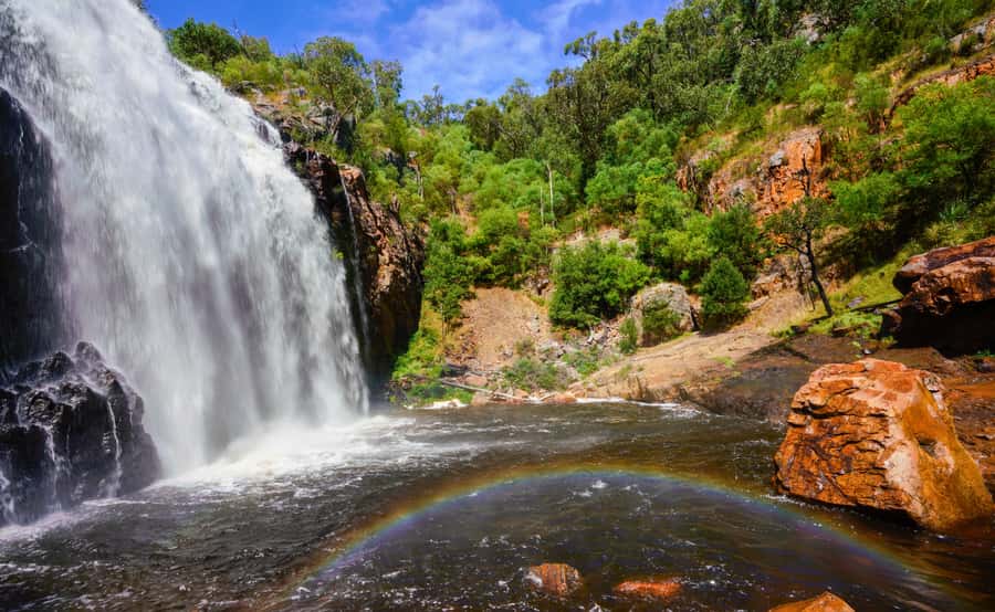 Grampians National Park Small-Group Eco Day Tour - The comfy small-group ride: Wi-Fi and 16-language audio