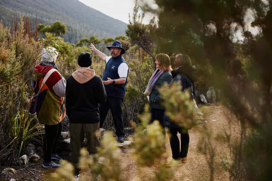 Grand Hobart & Richmond Full-Day Tour - Price and what you’re really paying for ($116)