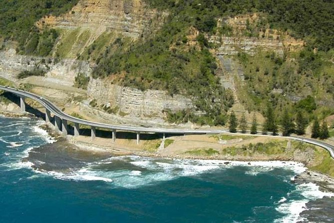 Grand Pacific Trike Tour - Royal National Park time: the oldest national park feeling close up