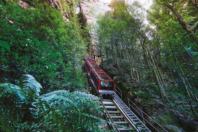 Grand Pacific Trike Tour - Sea Cliff Bridge and the south-coast towns: where the ride becomes the show