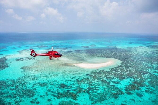 Great Barrier Reef 30-Minute Scenic Helicopter Tour from Cairns - How shared means “small group,” not “crowded”