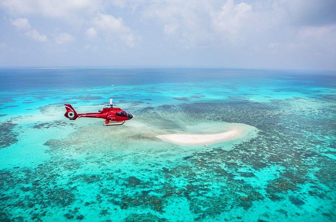 Great Barrier Reef 30-Minute Scenic Helicopter Tour from Cairns - Price and value: what $328.54 buys you