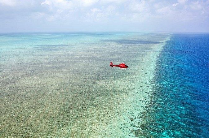 Great Barrier Reef 30-Minute Scenic Helicopter Tour from Cairns - Who this helicopter flight suits best