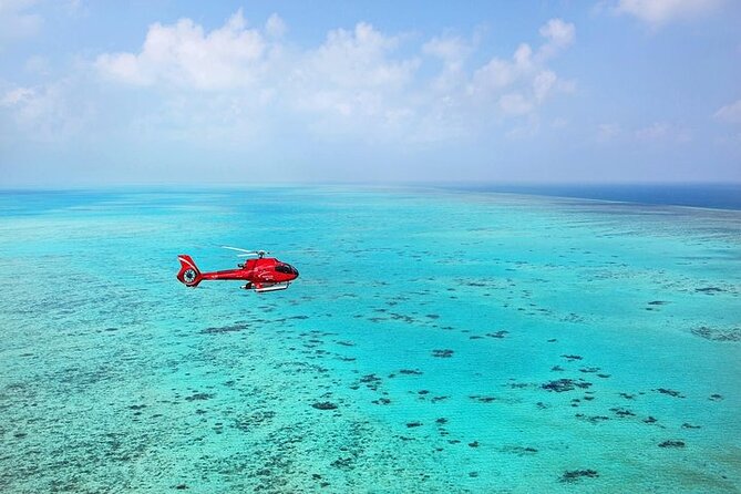Great Barrier Reef 30-Minute Scenic Helicopter Tour from Cairns - Check-in at Nautilus Aviation: get briefed and ready