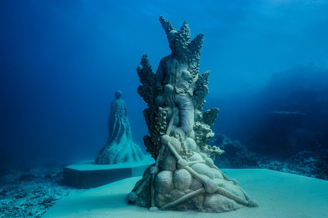 Great Barrier Reef and MOUA Snorkeling Day Tour from Townsville - Key highlights you’ll care about