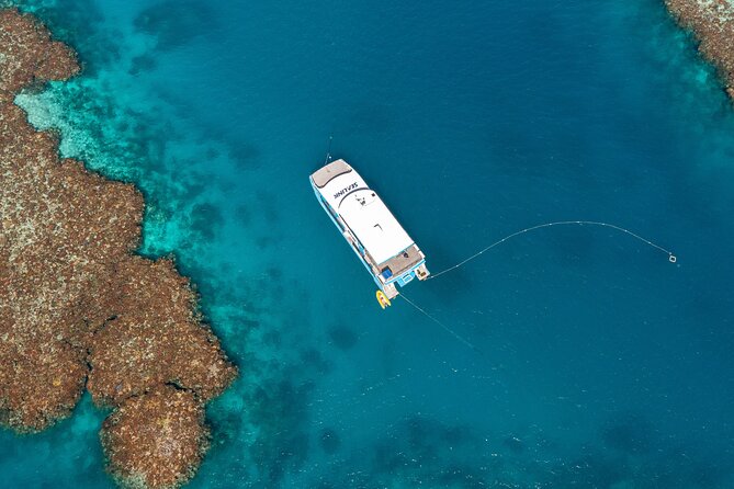 Great Barrier Reef and MOUA Snorkeling Day Tour from Townsville - Why John Brewer Reef and MOUA are a smart combo