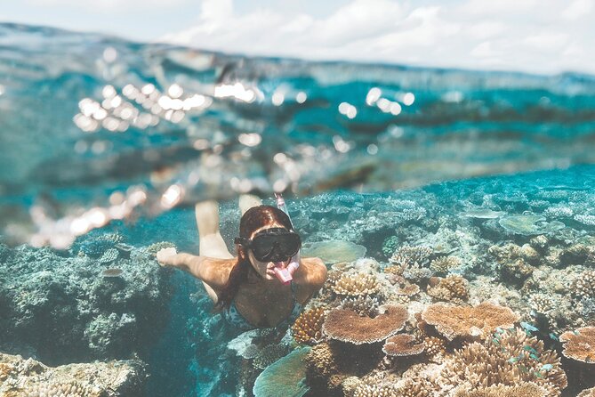 Great Barrier Reef and MOUA Snorkeling Day Tour from Townsville - Who this tour suits best