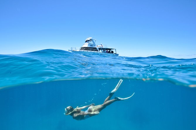 Great Barrier Reef Cruise from Townsville or Magnetic Island - A Great Barrier Reef Cruise That Gives You Real Choices (Snorkel or Scuba)